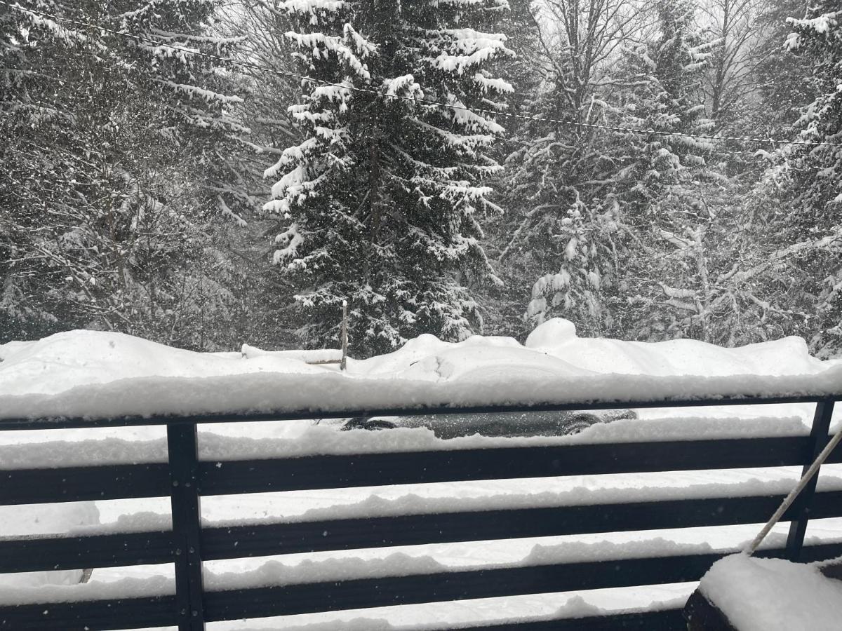 Vila Leni Kopaonik Buitenkant foto