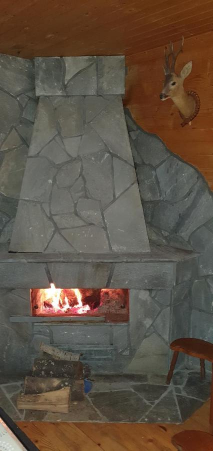 Vila Leni Kopaonik Buitenkant foto