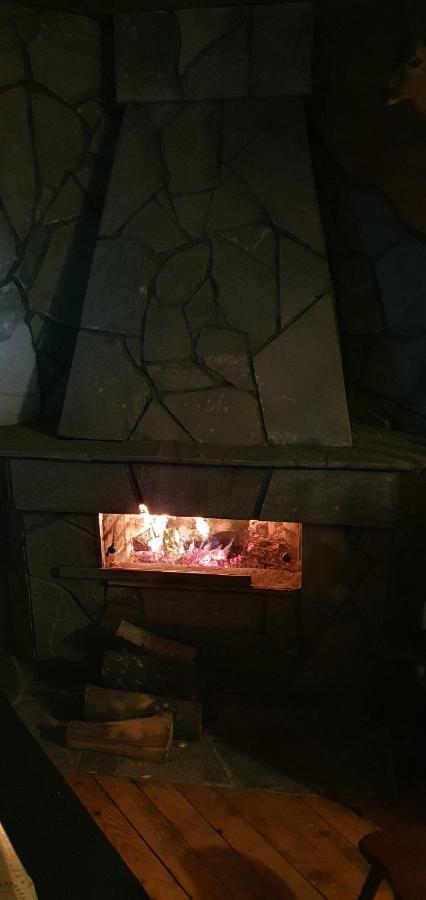 Vila Leni Kopaonik Buitenkant foto